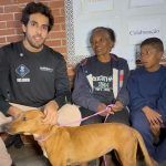 Resgate de Cavalo Maltratado no Itaim Paulista Traz Alívio e Esperança