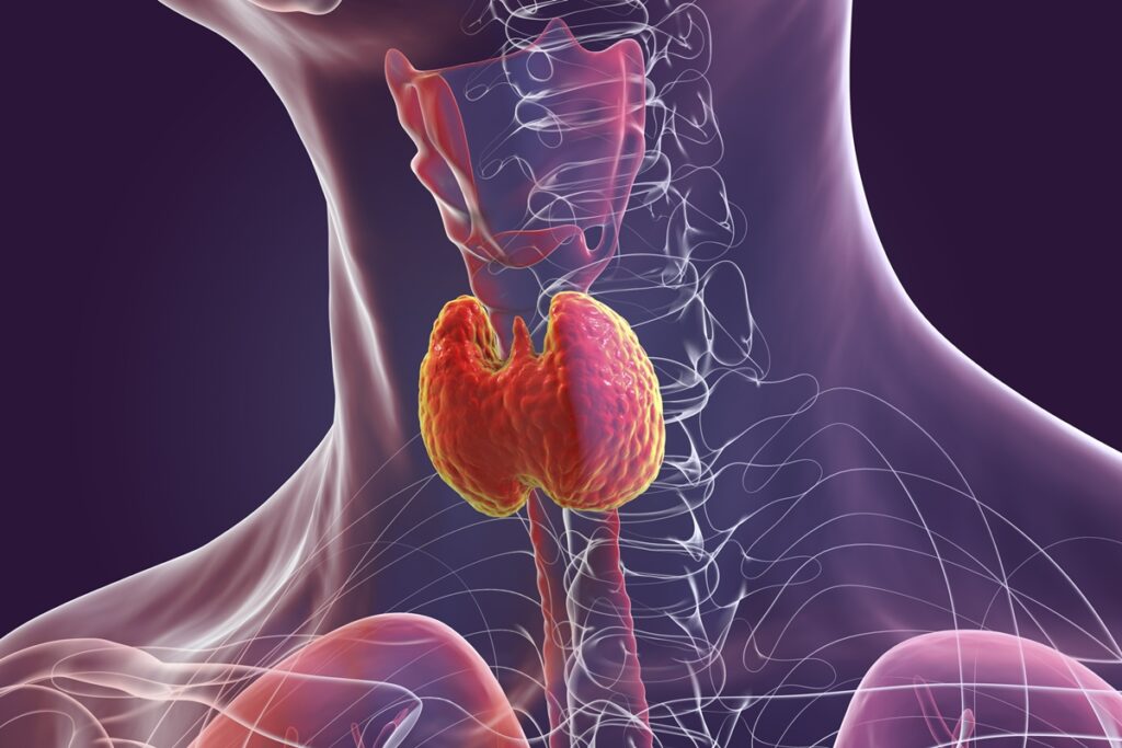 Boas Notícias para a Mesa: Endocrinologista Revela Benefícios do Cuscuz para a Tireoide!