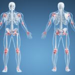 Seu Corpo: Realidade Mais Bizarra Que Qualquer Ficção, Afirma Portal Farofa